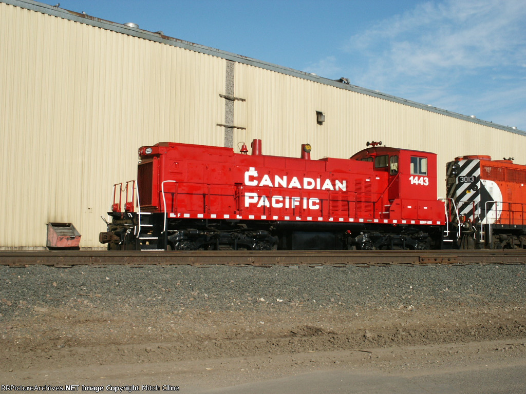 CP 1443